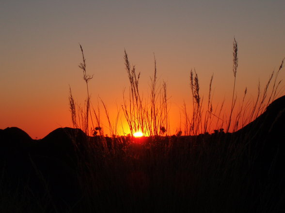 ~NaMiBiA~ - 