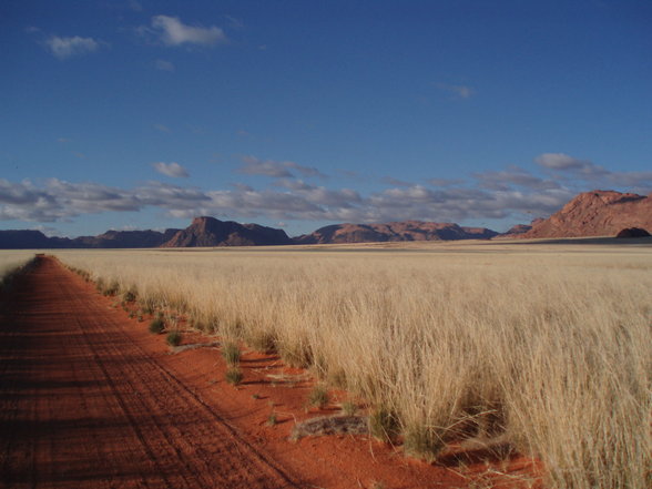 ~NaMiBiA~ - 