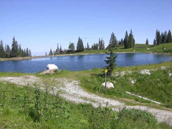 Kasberg über 1700m - 