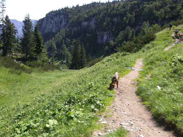 Kasberg über 1700m - 