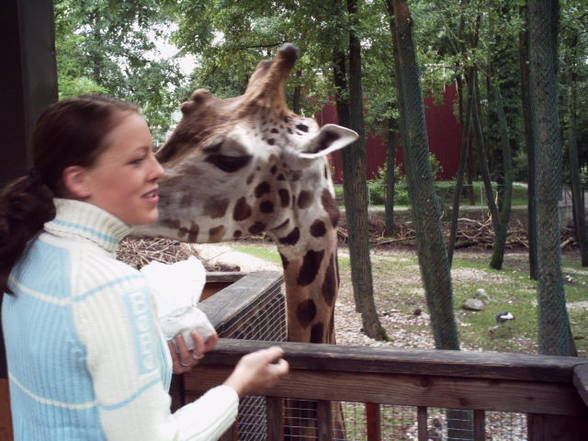 Meine lieben Tierchen - 