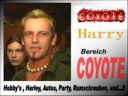 COYOTEN Bilder - 