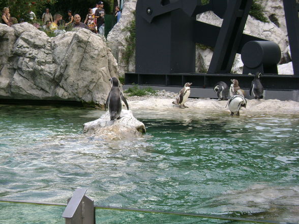 Wienausflug/ Schönbrunn - 