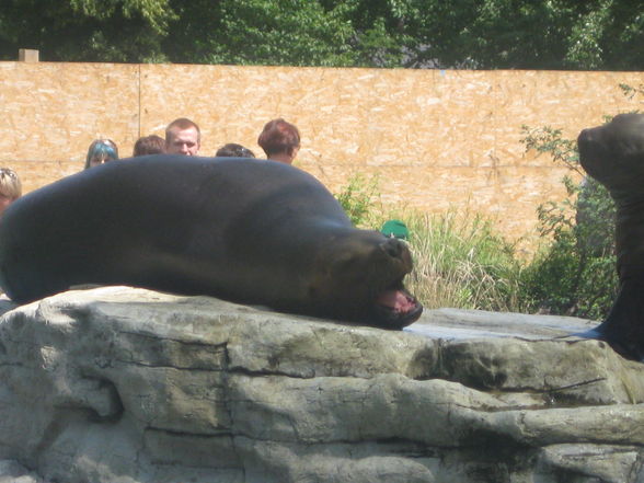 Tiergarten Schönbrunn - 