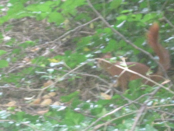 Tiergarten Schönbrunn - 