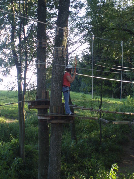 Hochseilklettern - 