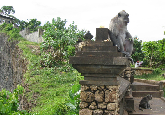 Bali - 