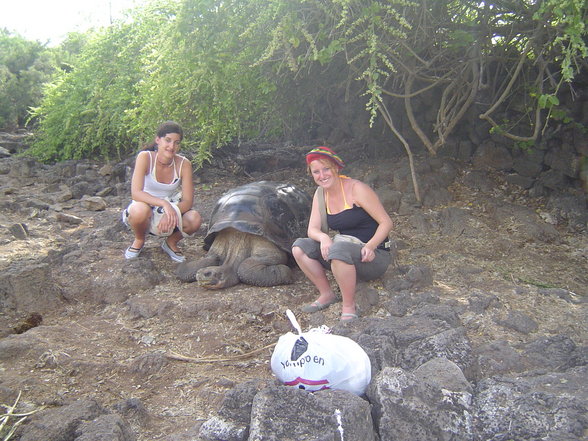 Galápagos - 