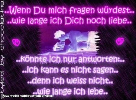 meine bilder..... - 