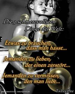 meine bilder..... - 