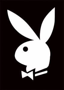 PlaYbOy-HasAl - 