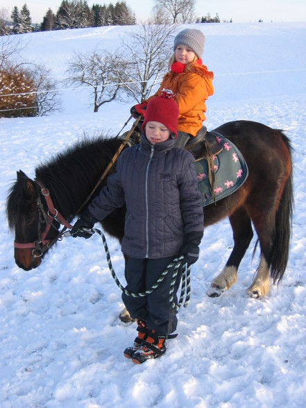 Die Ponies in meiner Familie!!! - 