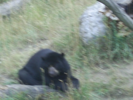 Schönbrunn - 