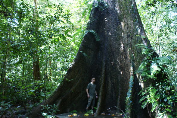 Malaysia und Borneo 2009 - 