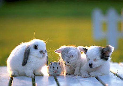 cool pix - 