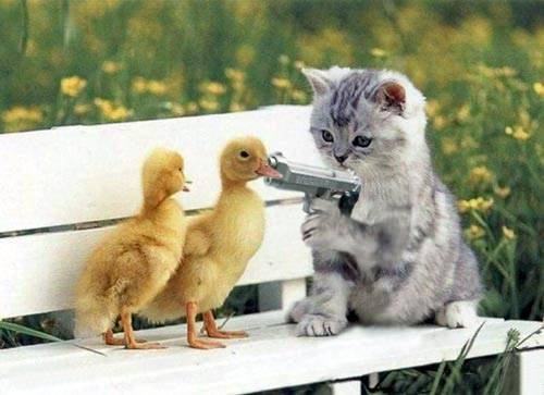 cool pix - 