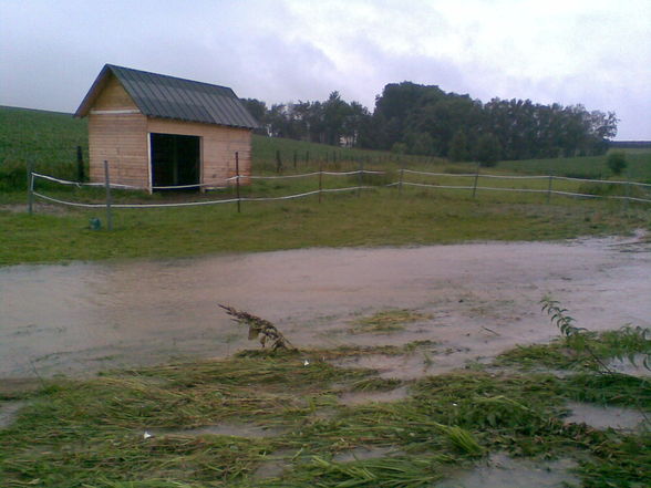 Hochwasser 28.6.09 - 