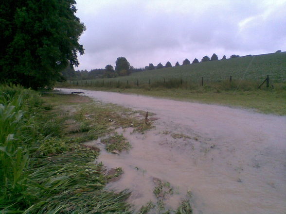 Hochwasser 28.6.09 - 