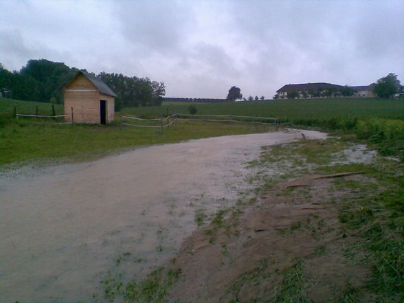 Hochwasser 28.6.09 - 