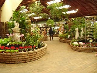 Jelsea Flower Show in Südafrika - 