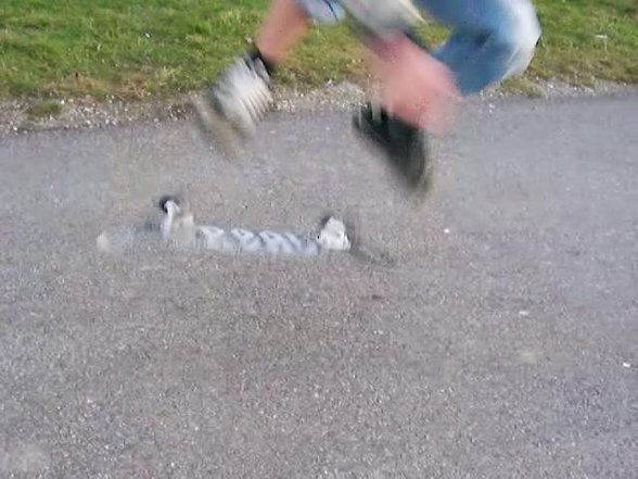 Friends and Me at Skating - 