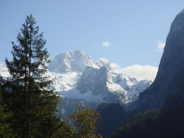 Dachstein - 