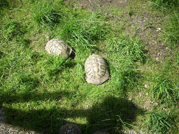 Unser erster Besuch im Tierpark - 