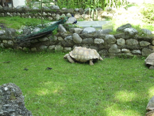 Unser erster Besuch im Tierpark - 