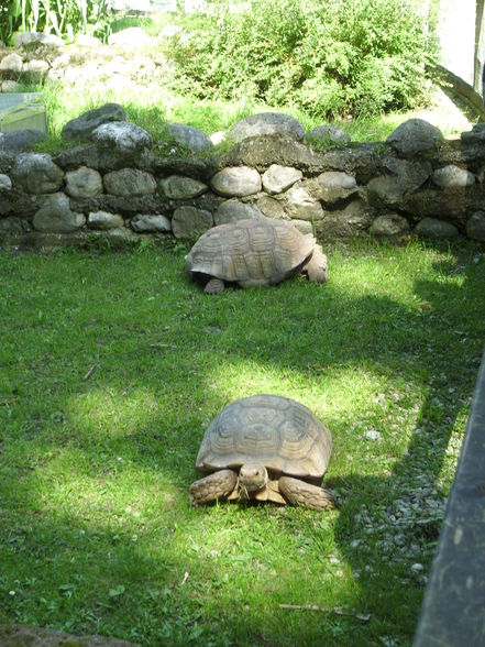 Unser erster Besuch im Tierpark - 