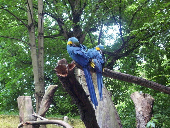 Unser erster Besuch im Tierpark - 