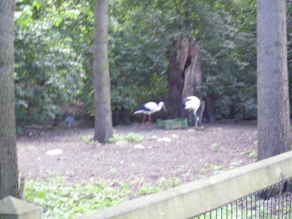 Unser erster Besuch im Tierpark - 