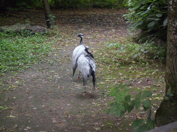 Unser erster Besuch im Tierpark - 