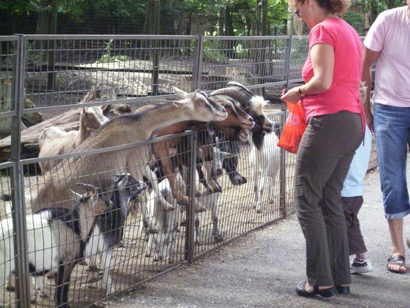 Unser erster Besuch im Tierpark - 