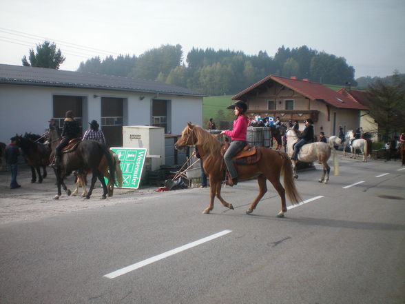 Pferdesegung Waldkirchen 2009 - 