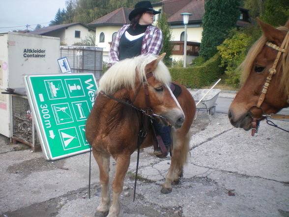 Pferdesegung Waldkirchen 2009 - 