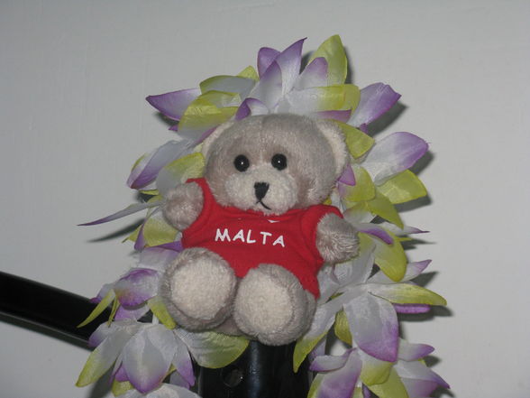 Malta 2008 - 