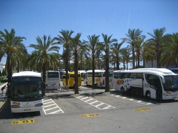 Mallorca 2008!!  - 