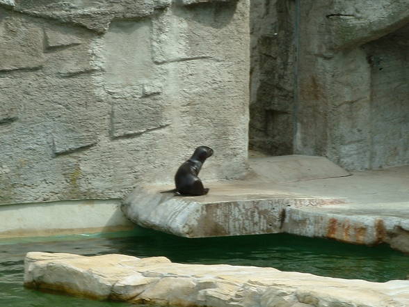 Tierpark Schönbrunn - 