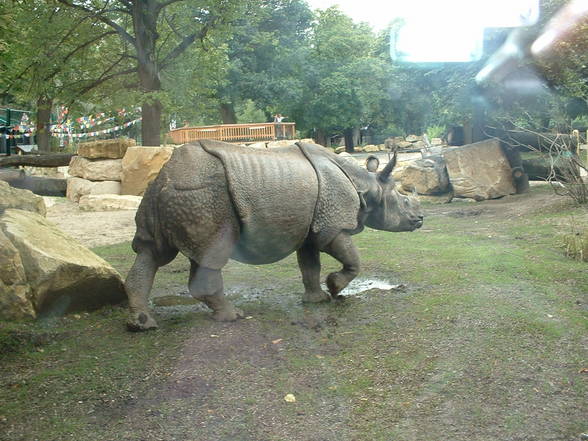 Tierpark Schönbrunn - 