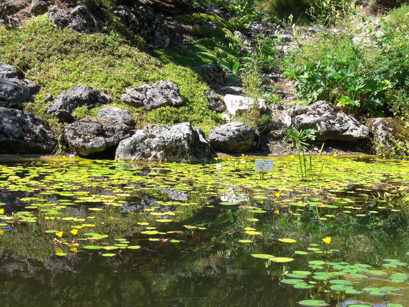 Botanischer Garten ... - 