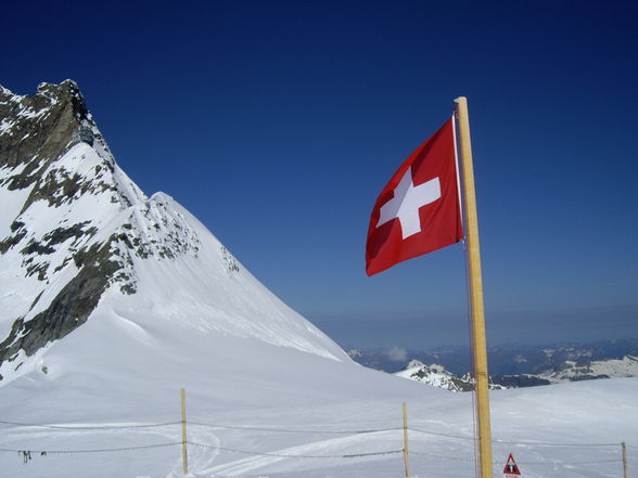 swiss 2008 - 