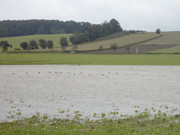 sommerstimmungen in st.florian 2007 - 