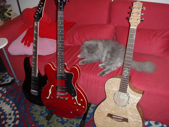 my guitars!!! - 