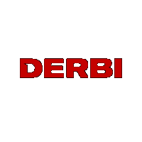 derbi  rulz - 