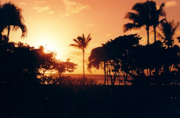 Hawai'i 2001-Maui - 