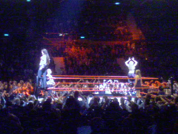 WWE Revange Tour 08  - 