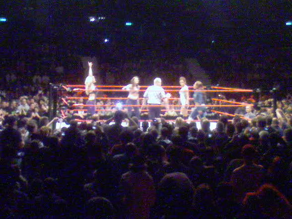 WWE Revange Tour 08  - 