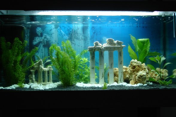 ***unser aquarium*** - 