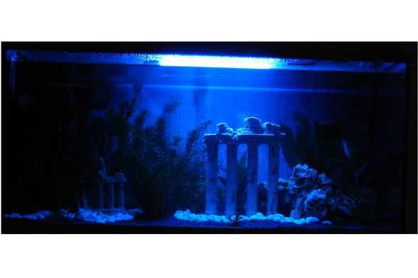 ***unser aquarium*** - 