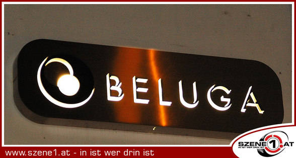 @ BELUGA - 